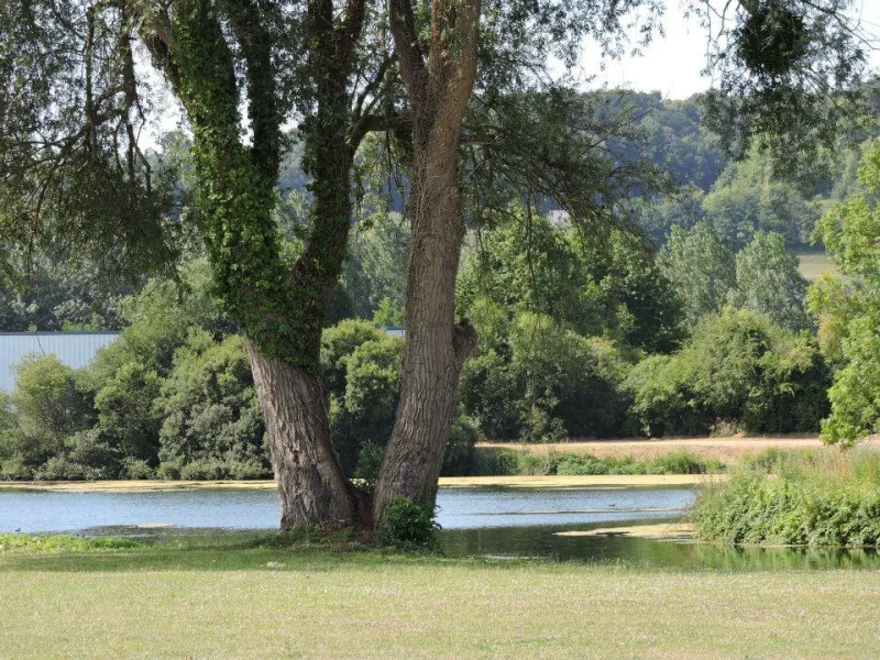 Photo du Camping les Marguerites, fournie par Glampings