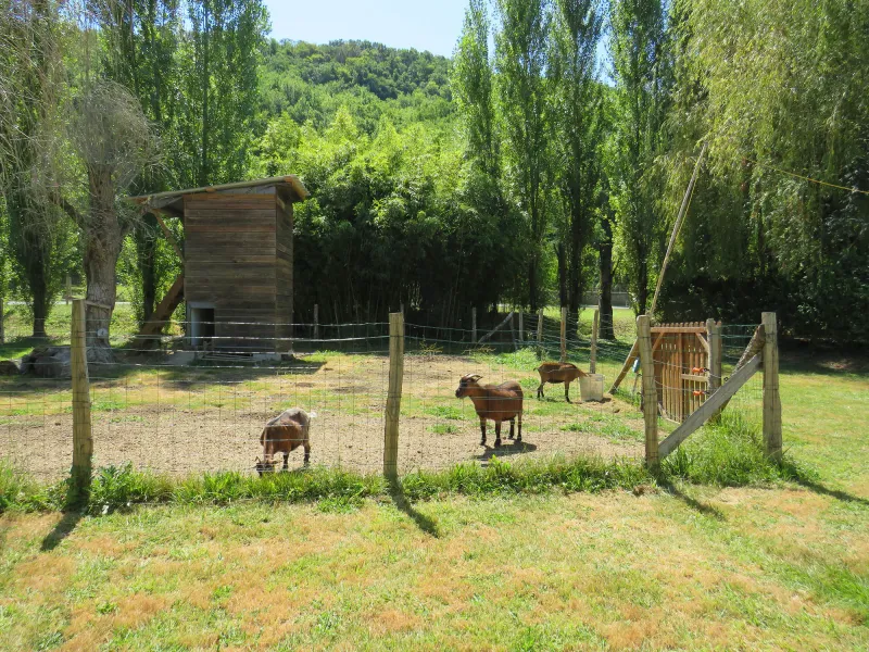 Photo du Camping la Salvinie, fournie par Glampings