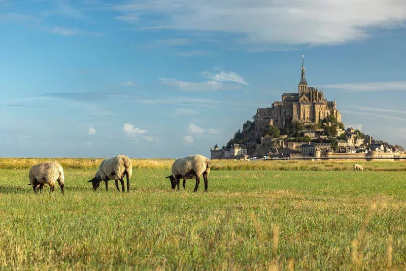 Photo du Camping les Pommiers du Mont Saint-Michel, fournie par Suncamp