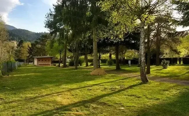 Photo du Camping du Haut-Koenigsbourg, fournie par JetCamp