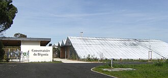 Photo : Conservatoire du Bégonia