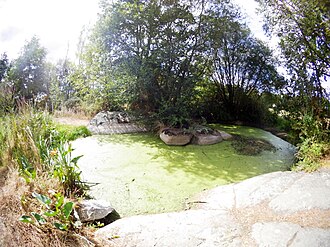 Photo : La fontaine Saint Gré