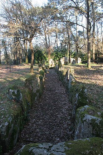 Photo : Allée couverte de Luffang