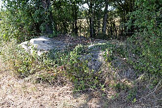 Photo : Menhir le champ du Rocher