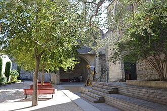 Photo : Jardin des Carmes
