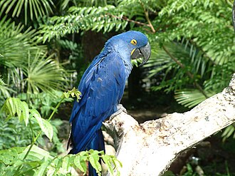 Photo : Parc des Oiseaux