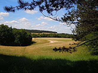 Photo : Parc de la Combe à la Serpent
