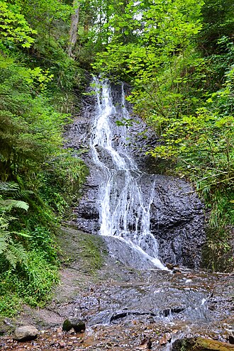 Photo : Le saut de la bourrique