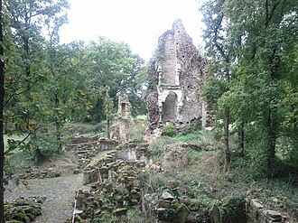 Photo : Ruines du château du Goust