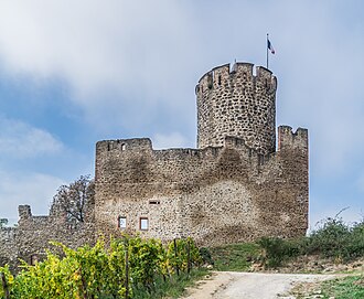Photo : Circuit cyclo - Vignobles et châteaux