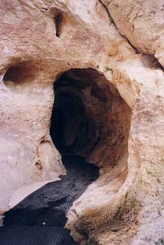 Photo : Grotte de Font-de-Gaume